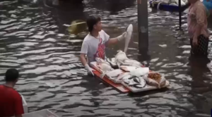 “Chợ nổi” nhóm họp trên đường phố Bangkok giữa dòng nước lũ