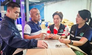 Bài cuối: Mặt hàng bị thu giữ nhiều nhất thế giới