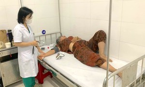 Hơn 250 người ngộ độc sau khi ăn bánh mì, xác định Salmonella trong 3 loại thực phẩm
