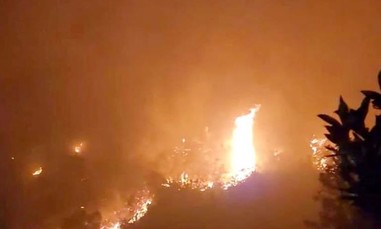 Xử lý nghiêm các hành vi dùng lửa có nguy cơ gây cháy rừng