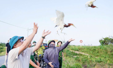 Nước mắt chim trời (Bài cuối)