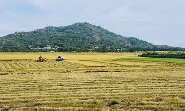 Đê bao "bủa vây" đồng bằng, mối nguy khó lường