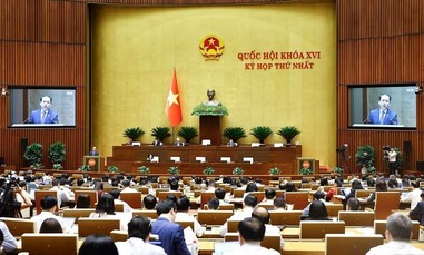 Thí điểm luật sư công: Bổ sung lực lượng, nâng cao năng lực pháp lý cho khu vực nhà nước