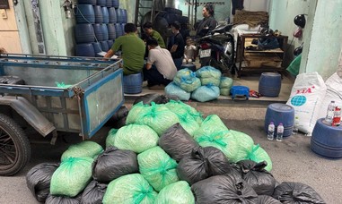 Công an TPHCM đồng loạt triệt phá 3 cơ sở dùng hoá chất độc hại sản xuất 1.000 tấn giá đỗ bán ra thị trường