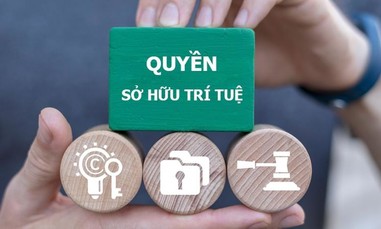 Kết luận của Bộ Chính trị về đẩy mạnh công tác sở hữu trí tuệ phục vụ phát triển kinh tế - xã hội trong tình hình mới