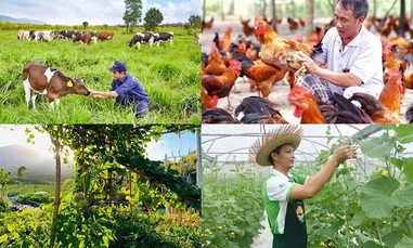Hàng loạt chính sách mới về vận tải, đấu thầu, đất đai, tài chính... có hiệu lực trong tháng 8/2026