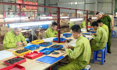 Nhiều chuyển biến rõ nét trong công tác cai nghiện ma túy