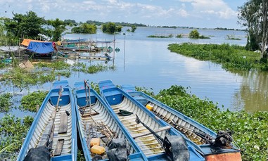 Kỳ 1: Khi dòng phù sa không còn nặng cá