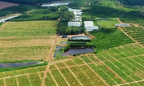Giảm 30% tiền thuê đất, thuê mặt nước cho đối tượng ảnh hưởng bởi COVID-19
