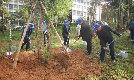 Bộ Công an yêu cầu 2 tỉnh Lâm Đồng và Quảng Ngãi cung cấp thông tin các dự án trồng cây xanh