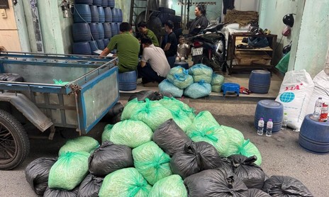 Công an TPHCM đồng loạt triệt phá 3 cơ sở dùng hoá chất độc hại sản xuất 1.000 tấn giá đỗ bán ra thị trường