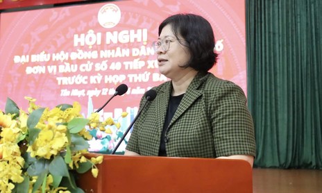 Cử tri kiến nghị nhanh chóng có phương án xử lý các dự án chậm trễ để bảo đảm quyền lợi người dân