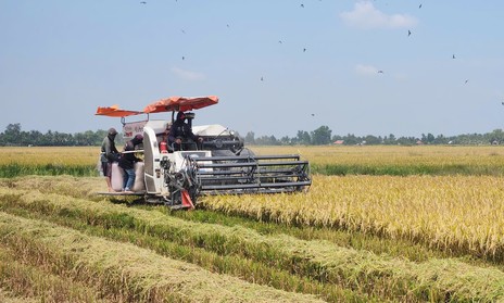 Người nông dân còn giữ lại được bao nhiêu giá trị sau mỗi mùa gặt?