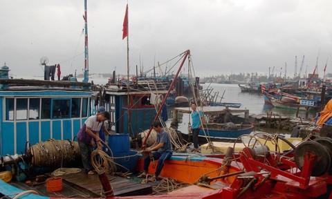 Trong điều kiện biến đổi khí hậu và ô nhiễm môi trường ngày càng nghiêm trọng, liệu nguồn hải sản ra khơi có bị ảnh hưởng không và các biện pháp bảo vệ môi trường nào đang được áp dụng?