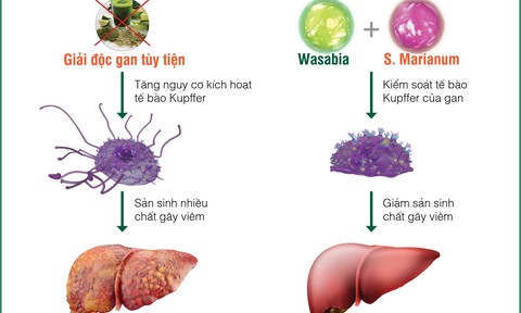 Nguyên tắc cơ bản của phương pháp giải độc gan dân gian là gì?
