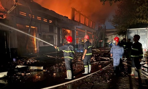 Kỳ 1: Những quả 