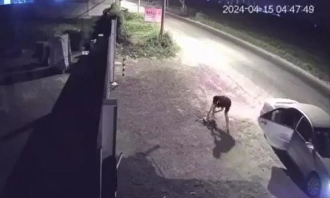 Thanh niên đi ô tô bắn trộm chó chỉ trong vòng 16 giây