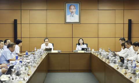 Chống thông đồng, dìm giá, "quân xanh, quân đỏ" và bỏ cọc trong đấu giá tài sản