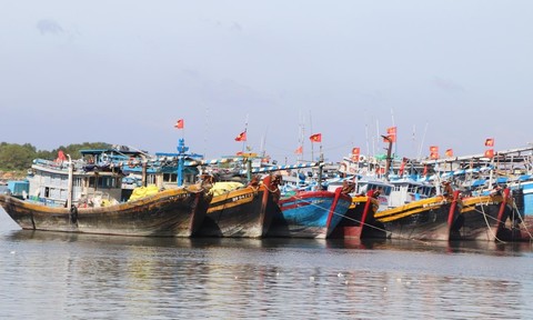 Tàu cá "mất sóng" và hơn 5.000 hồ sơ hết thời hiệu