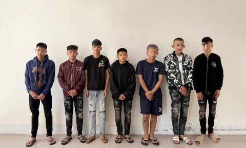 7 đối tượng gây ra 10 vụ trộm cắp tài sản liên tỉnh