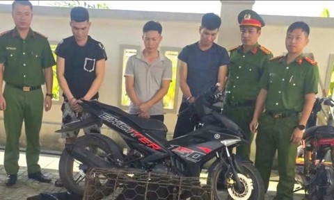 Nhóm đối tượng dùng súng bắn điện một đêm trộm gần chục con chó