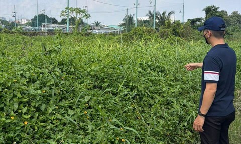 Xã Tân Nhựt, TPHCM: Tháo gỡ "nút thắt" thủ tục dự án cửa hàng xăng dầu