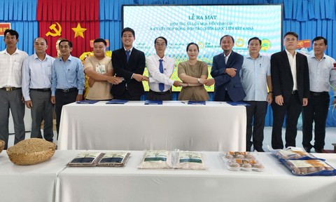 Giữ đồng bằng từ những cánh đồng lúa mùa nổi