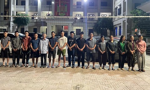 Phá sới xóc đĩa trong rừng