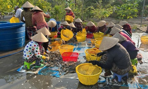 Bài cuối: Thay đổi tư duy để bảo tồn hệ sinh thái