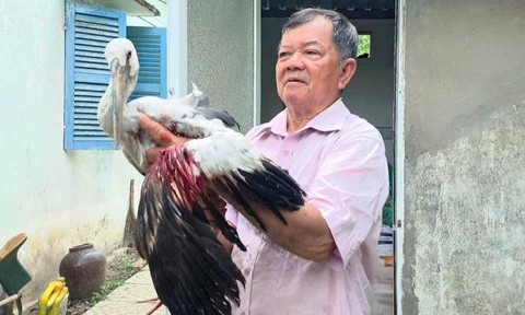 Vườn chim nguy cơ bị xóa sổ vì nạn săn bắt