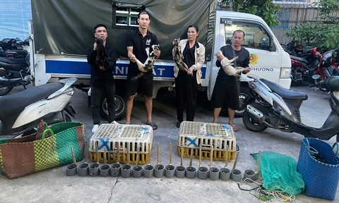 Video: Triệt xóa đường dây trộm cắp chó mèo chuyên nghiệp, giải cứu hơn 400 con mèo còn sống