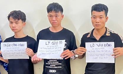 Bắt giữ 5 đối tượng về hành vi mua bán, tàng trữ trái phép chất ma túy