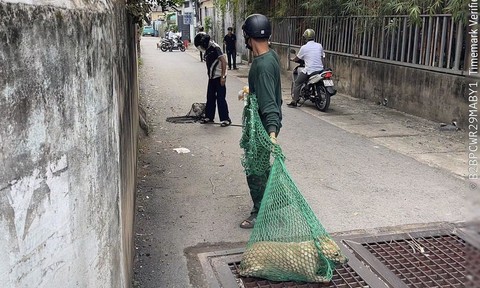 Phường Dĩ An: Bắt giữ nhiều 'thú cưng' trong ngày đầu ra quân xử lý động vật thả rông