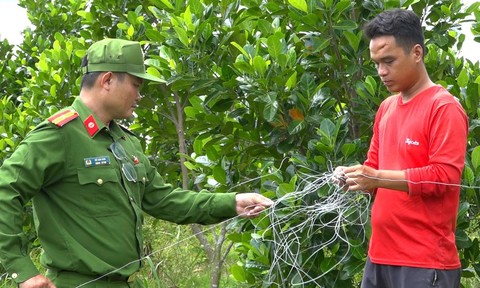 Nhiều tai nạn đau lòng vì bẫy chuột bằng điện
