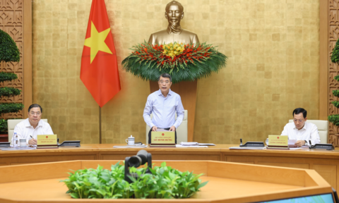 Hạn chế tối đa việc ban hành nhiều nghị định hướng dẫn cho cùng một nội dung luật