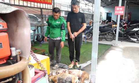 Công an TPHCM: Bắt 'nóng' đối tượng chỉ trong 1 đêm trộm 5 con chó của người dân