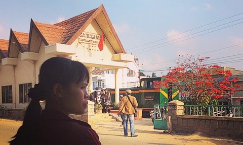 “Tái khám phá” Đà Lạt trong những ngày hè