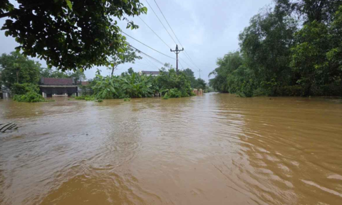 Mưa lũ làm hơn 1.068 héc-ta lúa và hoa màu của các địa phương hư hỏng