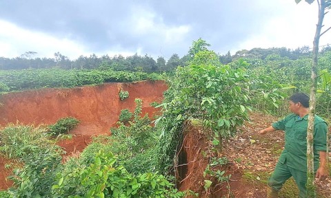 Gia Lai: Mưa lớn gây sạt lở, cuốn trôi nhiều diện tích cà phê đang cho quả